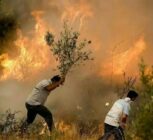 لرستان و معادله پیچیده تابستان؛ حریق‌هایی که همه منشأ انسانی دارند