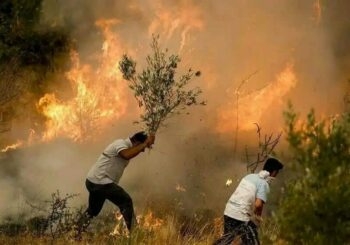 لرستان و معادله پیچیده تابستان؛ حریق‌هایی که همه منشأ انسانی دارند