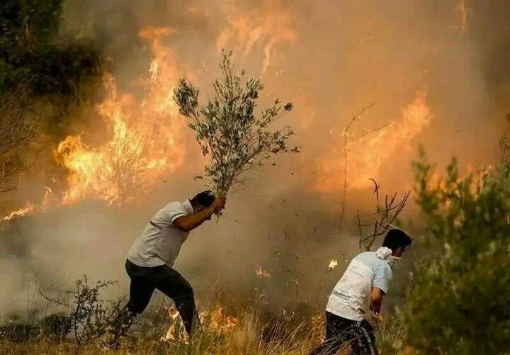 لرستان و معادله پیچیده تابستان؛ حریق‌هایی که همه منشأ انسانی دارند