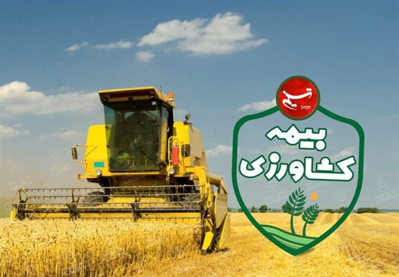 پرداخت 6.5 همت خسارت بیمهای به کشاورزان