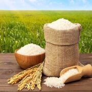 برنج از سفره ژاپنی‌ها کنار کشید