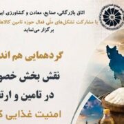 هشدار محترمانه درباره فروپاشی زنجیره تأمین کالاهای اساسی| واردات برنج به نصف رسید