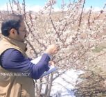 آغاز مدیریت آفات در تعدادی از زیستگاه‌ها