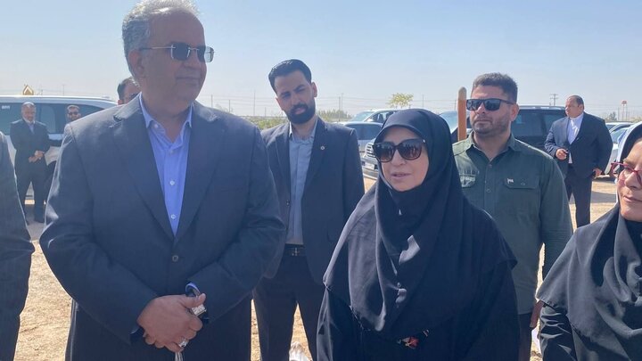 انصاری: بهرهمندی مردم از محیط زیست سالم اولویت اجرایی است
