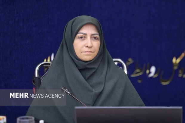 انصاری: ۷۰ درصد تالابهای کشور با مشکل کمآبی مواجه هستند