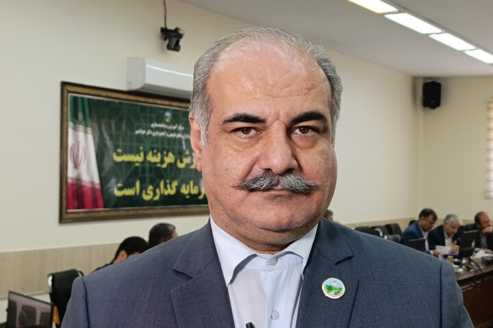 برداشت چوب از جنگلهای هیرکانی ممنوع ماند