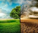 زنگ خطر ال‌نینو برای اقتصاد جهان؛ شرکت‌های بزرگ در آماده‌باش