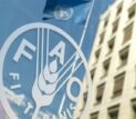 فائو هشدار داد: جهان با افزایش قیمت مواد غذایی مواجه است