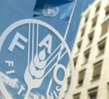 فائو هشدار داد: جهان با افزایش قیمت مواد غذایی مواجه است