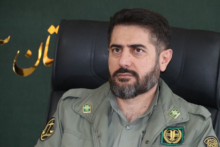 آغاز «گاو بانگی» و فصل عاشقی مرالها در جنگلهای استان سمنان
