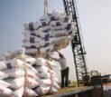 استمرار ثبت سفارش واردات برنج از ۵ مهرماه