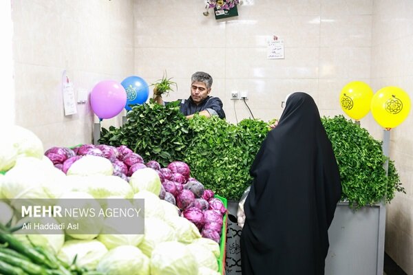 الزامات سبزی خوردن بستهبندی اعلام شد