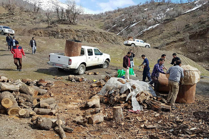 زخم سیاهِ زغال بر تن سبز جنگل؛ ردپای کورهها به بلوطستان رسید زخم سیاهِ زغال بر تن سبز جنگل؛ ردپای کورهها به بلوطستان رسید