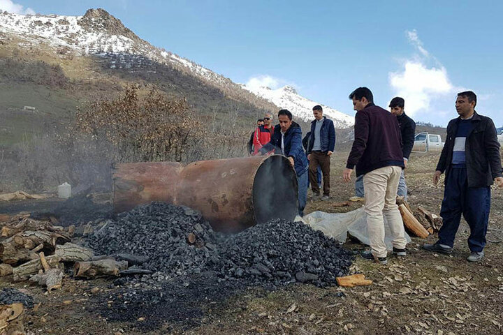 زخم سیاهِ زغال بر تن سبز جنگل؛ ردپای کورهها به بلوطستان رسید زخم سیاهِ زغال بر تن سبز جنگل؛ ردپای کورهها به بلوطستان رسید