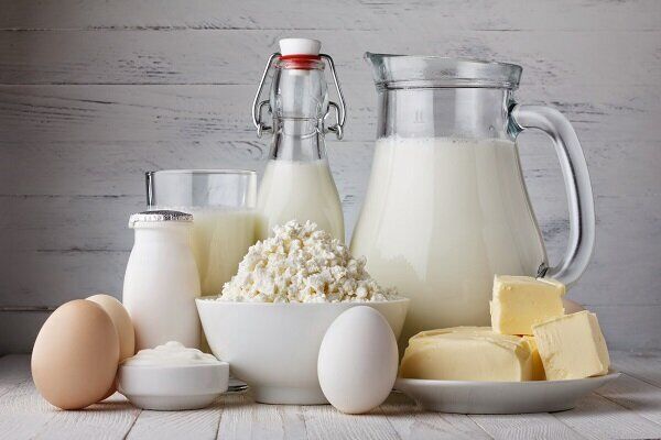 معاون وزیر جهاد: تخلفات قیمتی محصولات لبنی پیگیری میشود
