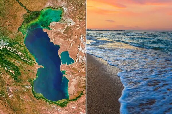 منابع ژنتیکی خزر؛ محور راهبردی همکاریهای زیستمحیطی پنج کشور ساحلی